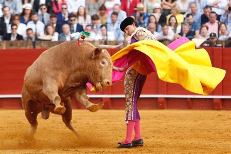 Del Toro Al Infinito Sevilla Entre Al Acto Social Y El Medio Toro