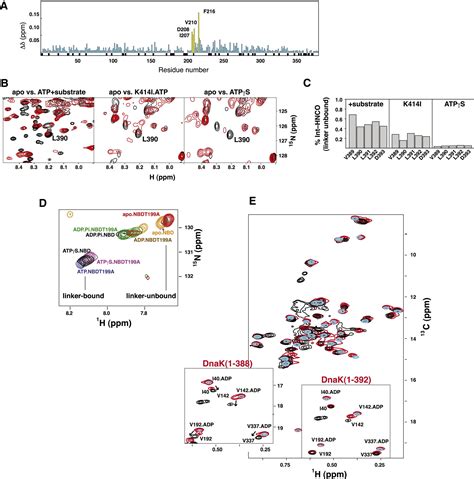 An Interdomain Energetic Tug Of War Creates The Allosterically Active