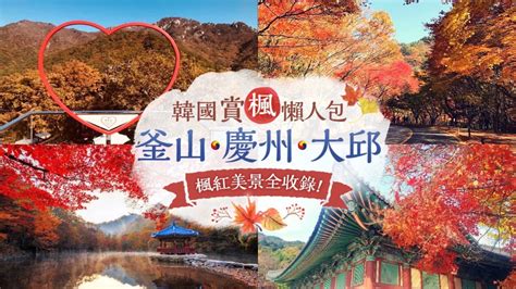 【韓國旅遊】2023韓國賞楓懶人包！釜山．慶州．大邱楓樹祕境推薦 東南旅遊部落格