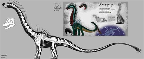 Raigopagos Skeletal By Kitwhitham On Deviantart