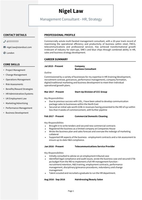 Management Consultant CV Example 2024 Writing Guide