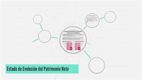 Estado De Evoluci N Del Patrimonio Neto By Anto Garc A On Prezi