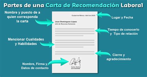 Cómo Redactar una Carta de Recomendación Guía Práctica