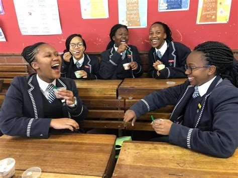 Collegiate Girls High School High Schools In Gqeberha Eastern Cape