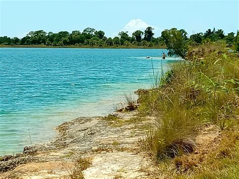 Weeki Wachee Preserve Hernando Countys Natural Beauty