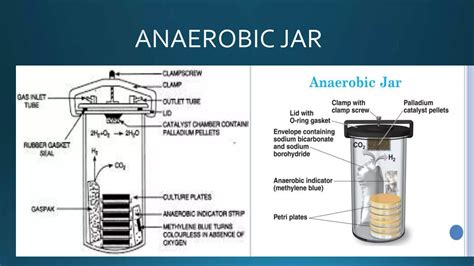 Anaerobic Jar PPT