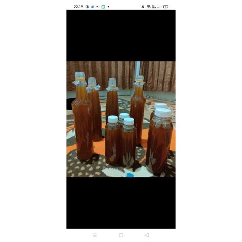 Jual Madu Hutan Liar Asli Murni Lebah Besar Apis Dorsata Odeng Original