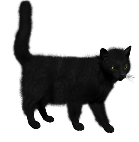 Black Cat Clipart Png Images Download Black Cat Clipart Pictures