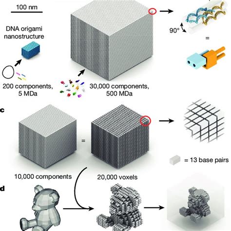 Three Dimensional Nanostructures Self Assembled From Dna Bricks A