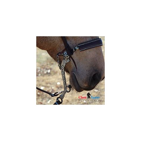 Diamond Hackamore Jacksons Western Store