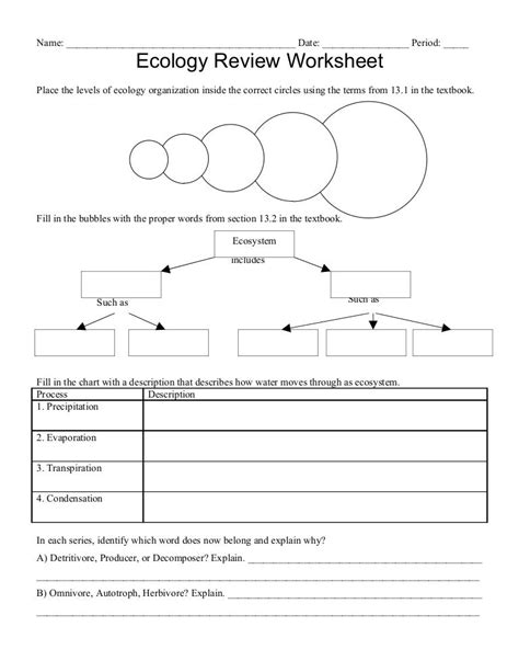 Levels Of Ecology Worksheet