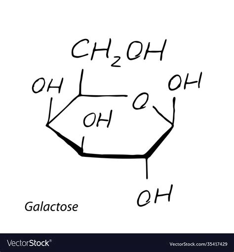 Galactose Structural Formula