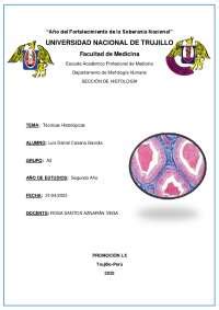 Cuadro Comparativo De Los Pasos De La Tecnica Histol Gica Res Menes