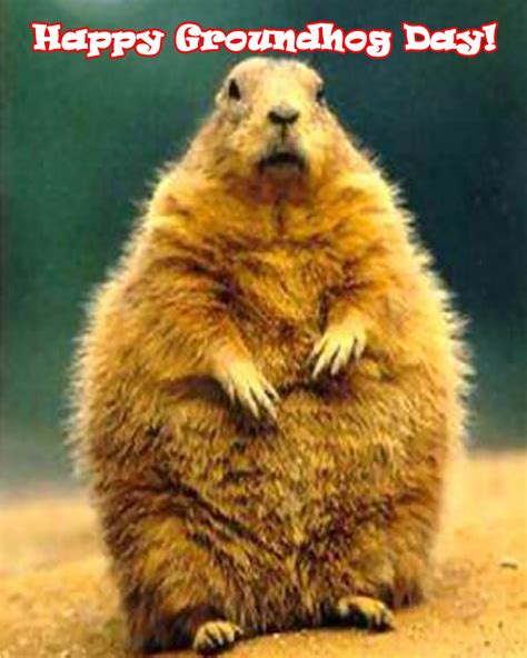 HAPPY GROUNDHOG DAY!!!! | Gift of RA