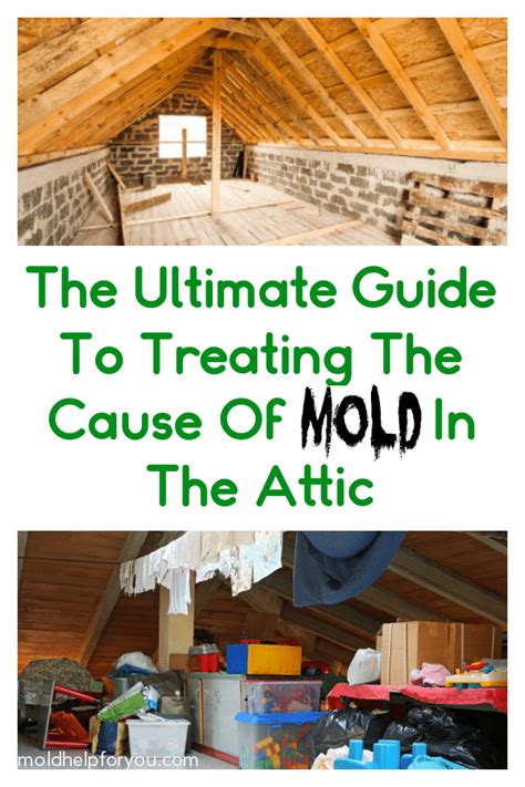 How To Prevent Attic Mold + Attic Mold Tips | Mold Help For You