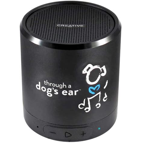 Calming Music for Dogs with Anxiety - AnxiousCanine.com