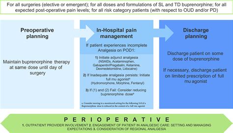 Perioperative Pain And Addiction Interdisciplinary Network PAIN