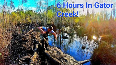 Beaver Dam Removal In Gator Creek Time Lapse From S Ep