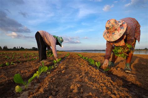 Learn More Land Rights For Climate Justice Landesa