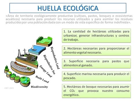 La huella ecológica | Cisolog