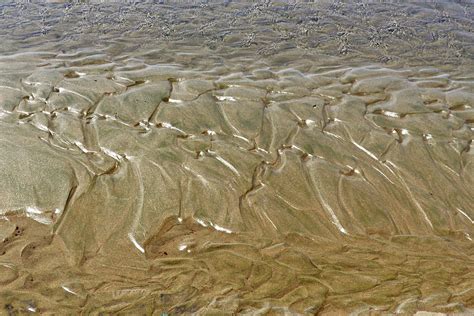 Ripples On The Sand Photograph By Nora Scott Fine Art America