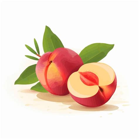 Colecci N De Ilustraciones De Frutas De Nectarina Vectorial Con Textura