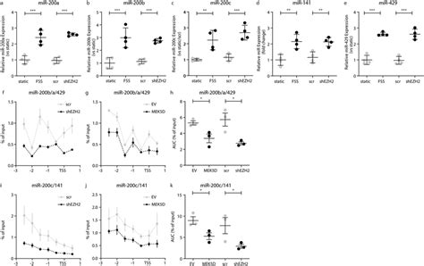 Ezh Regulates Dusp And Dusp Expression Through Mir A C Mir A