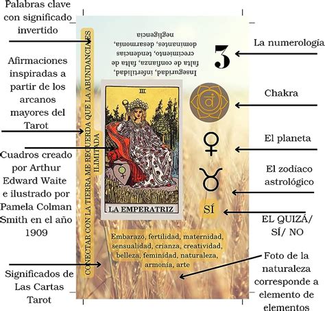 Los Secretos Del Tarot De Los Arcanos Mayores Gu A Completa Y