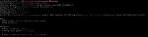 Trivy Scanner For Docker Image Vulnerability Scanning Virtualization