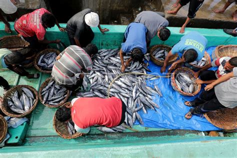 PRODUKSI PERIKANAN NASIONAL ANTARA Foto