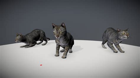 Cat - Play animation - 3D model by os.arch (@os.gkeylab) [5fefbf0] - Sketchfab