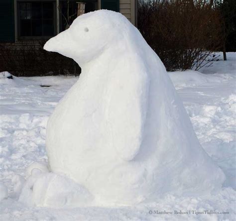 Snow Penguin « Tips n Tidbits