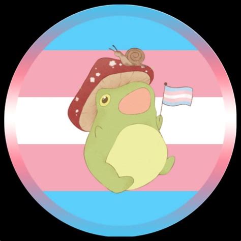 Trans Pride Flag Frog Profile Picture