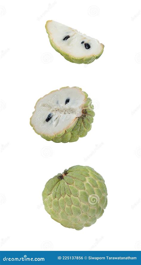 Custard Apple Fruit On White Background Stock Photo Image Of Custard