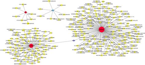 Frontiers Elucidating The Molecular Mechanism Of Ischemic Stroke