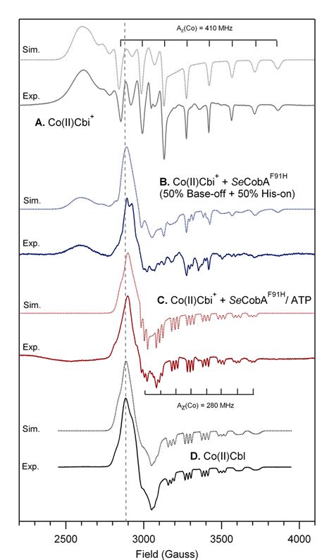 X Band Epr Spectra Collected At K Of A Free Co Ii Cbi B