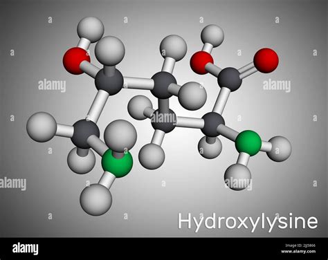 Hydroxylysine Hyl Molecule It Is Amino Acid Human Metabolite