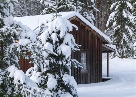 Free Images Landscape Tree Nature Forest Branch Cold Cabin