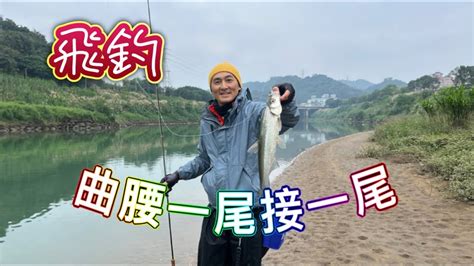 飛釣 曲腰 翹嘴 總統魚 原本要釣烏鰡 意外遇上 曲腰大軍 一尾接一尾 飛釣 曲腰 Youtube