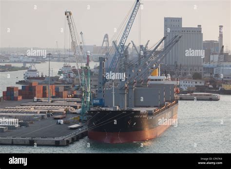 Dry Cargo Ship Cielo Di Tokyo Dwt Discharging Cargo Port Of