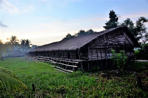 Rumah Adat Suku Asmat : Nama, Sejarah, Bagian dan Keunikan