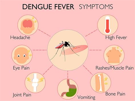 Know About 7 Warning Signs Of Dengue Fever From The Expert Onlymyhealth