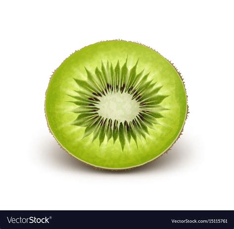 Kiwi Bird Cut In Half