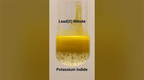 Precipitation Reaction Between Lead Ii Nitrate And Potassium Iodide Youtube