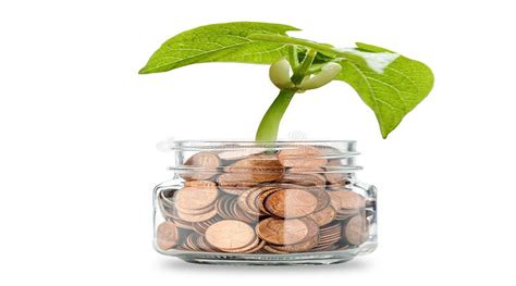 How To Grow Your Wealth To 10x