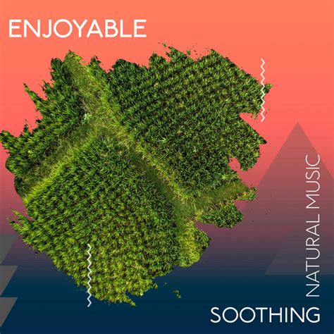 Zzz Enjoyable Soothing Natural Music Zzz Album By Nature Sound Series