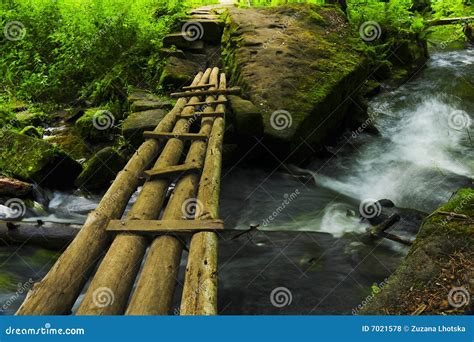 Ponte Na Floresta Foto De Stock Imagem De Ouro Nave 7021578