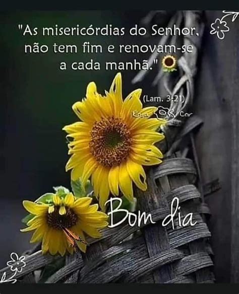 Bom dia Frase As misericórdias do Senhor não tem fim e renovam se a