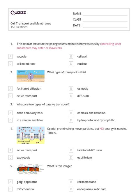 50 Membranes And Transport Worksheets For 9th Grade On Quizizz Free