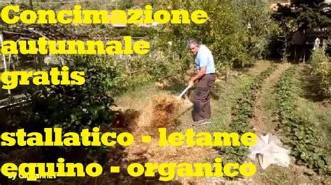 Concimazione Autunnale Agricoltura Biologica Gratis Con Stallatico